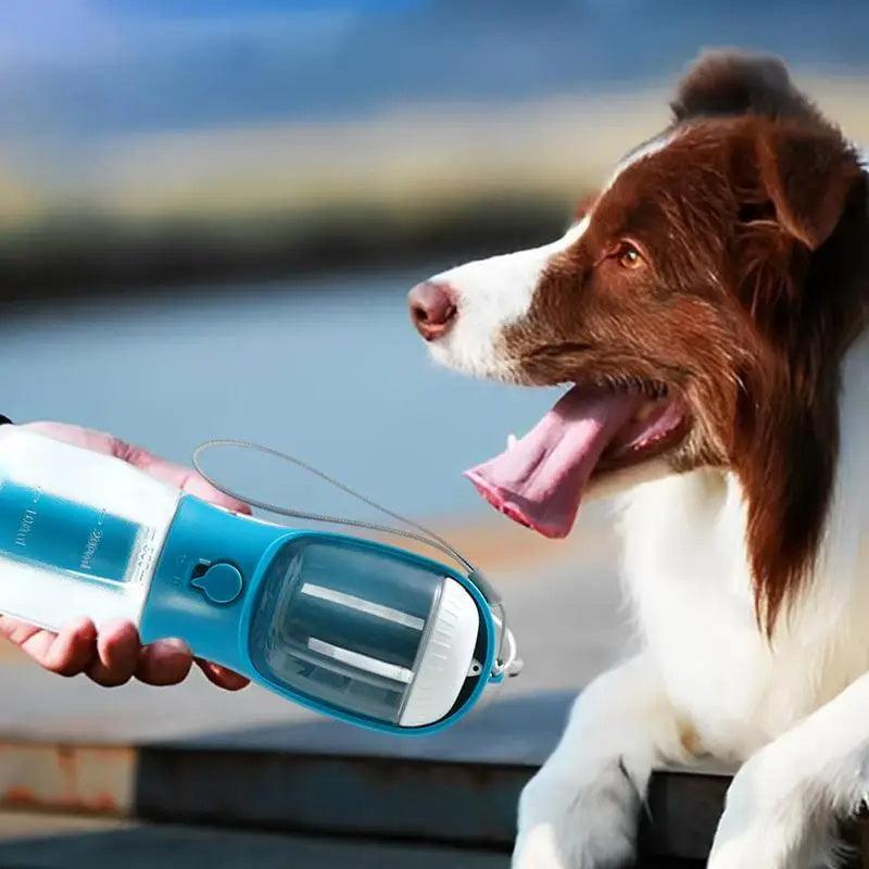 Dog Water Cup Drinking Food Garbage Bag Three-in-one Portable Small Multi-functional Pet Cups Pets Supplies - Miami beauty1