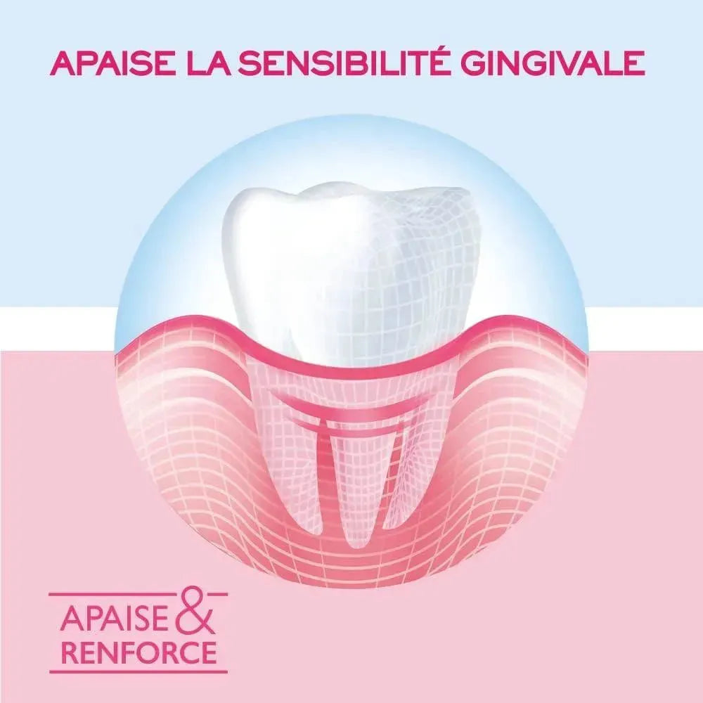 SANOGYL APAISE & RENFORCE GENCIVES, 75ML 2 pack - Miami beauty1