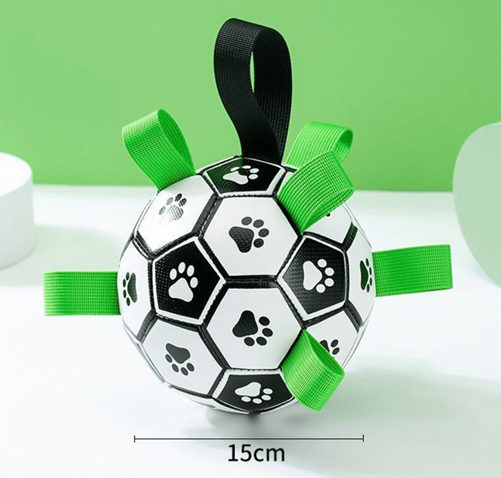 Pet Interactive Training Football Toy - Miami beauty1