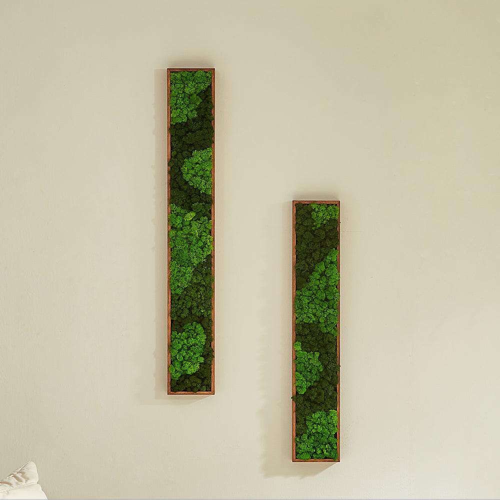 Rectangular Mixed Moss Wall Art, only the Medium - Miami beauty1