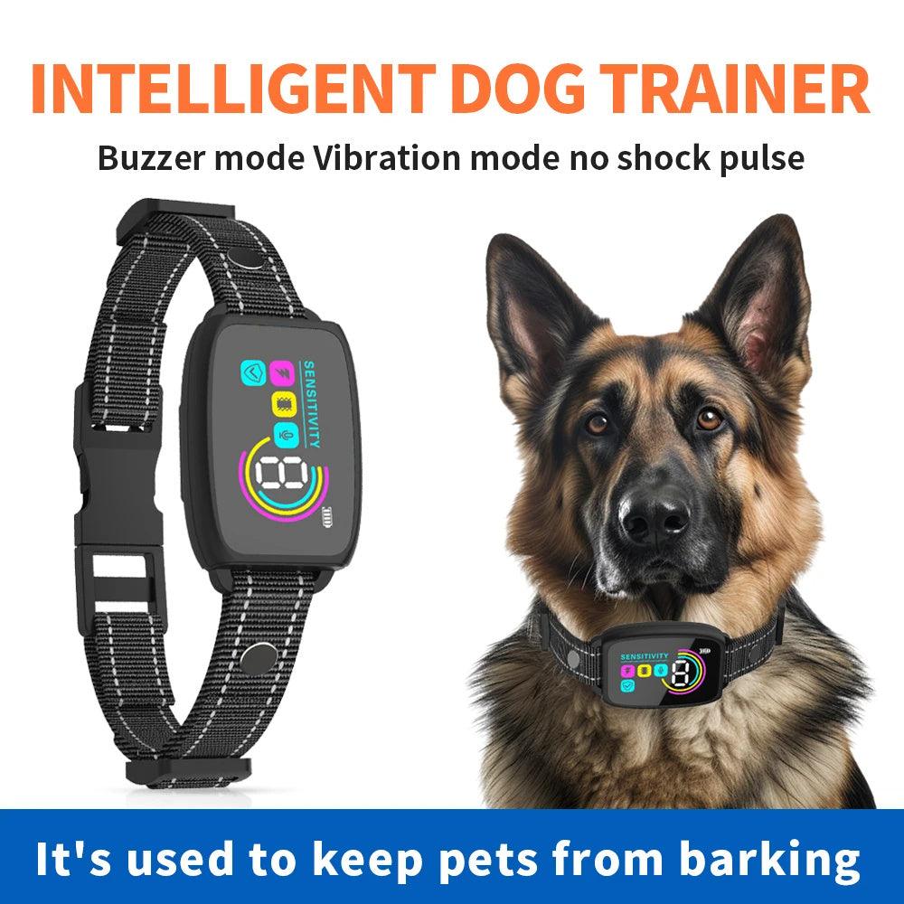 Anti Barking Dog Collar - Miami beauty1