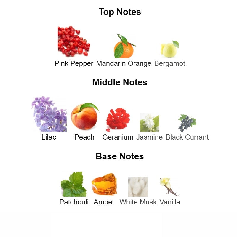 Chart of top, middle, and base notes with corresponding images and names on a white background.