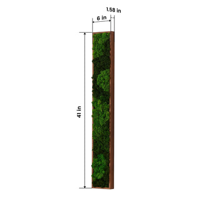 Rectangular Mixed Moss Wall Art, only the Medium - Miami beauty1