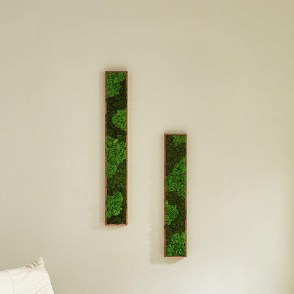 Rectangular Mixed Moss Wall Art, only the Medium - Miami beauty1