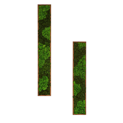 Rectangular Mixed Moss Wall Art, only the Medium - Miami beauty1