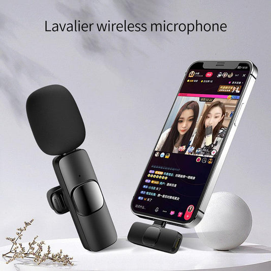 Microphone Portable - Miami beauty1