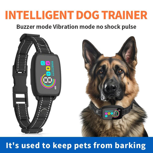 Anti Barking Dog Collar - Miami beauty1