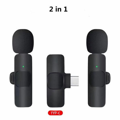 Microphone Portable - Miami beauty1