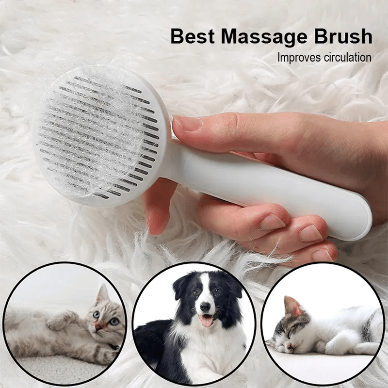 Pet Grooming Brush - Miami beauty1