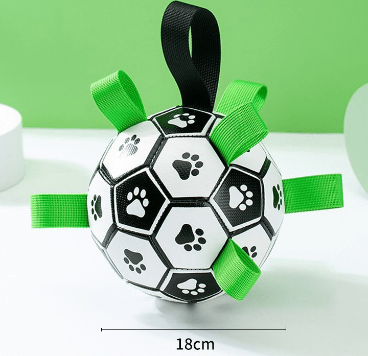 Pet Interactive Training Football Toy - Miami beauty1