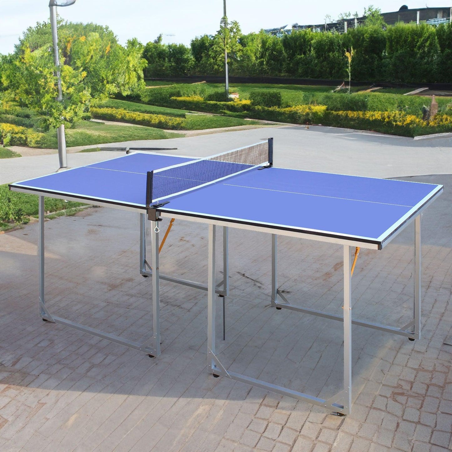 Ping Pong Table - Miami beauty1