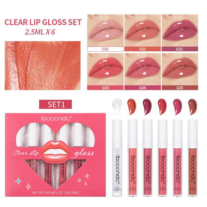 Transparent Lip Gloss Suit Liquid Lipstick - Miami beauty1